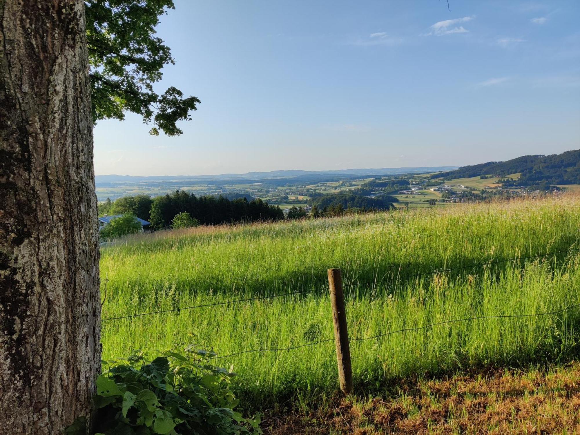 Pension Holzapfel Sankt Georgen im Attergau Exteriör bild